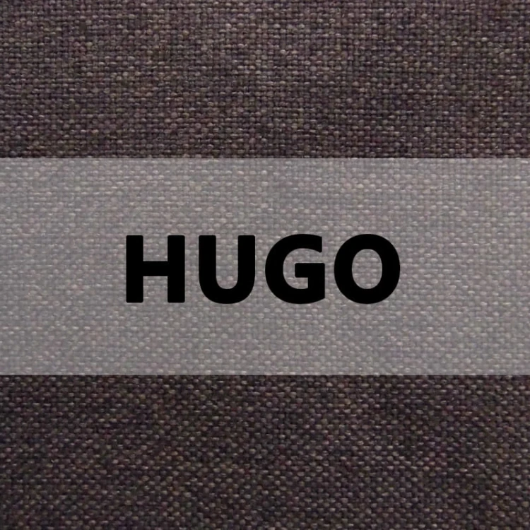 HUGO logo.jpg