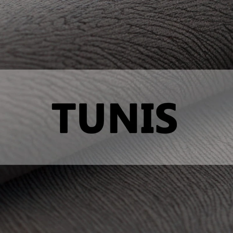 TUNIS logo.jpg