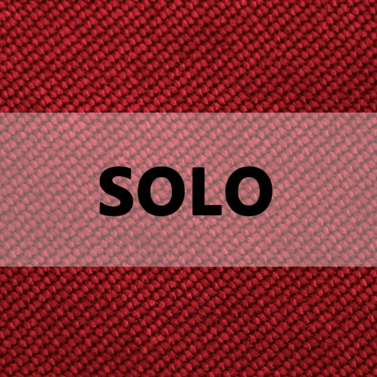 SOLO logo.jpg