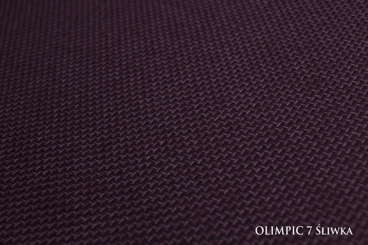 OLIMPIC7sliwka_A_small.jpg