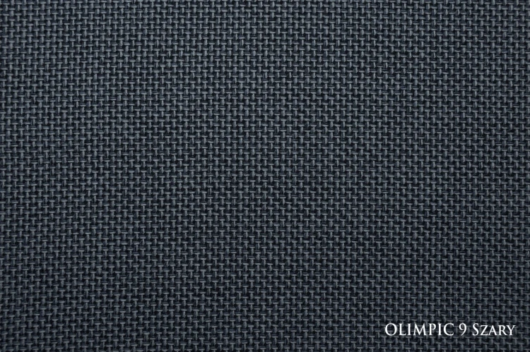 OLIMPIC9SZARY_small.jpg