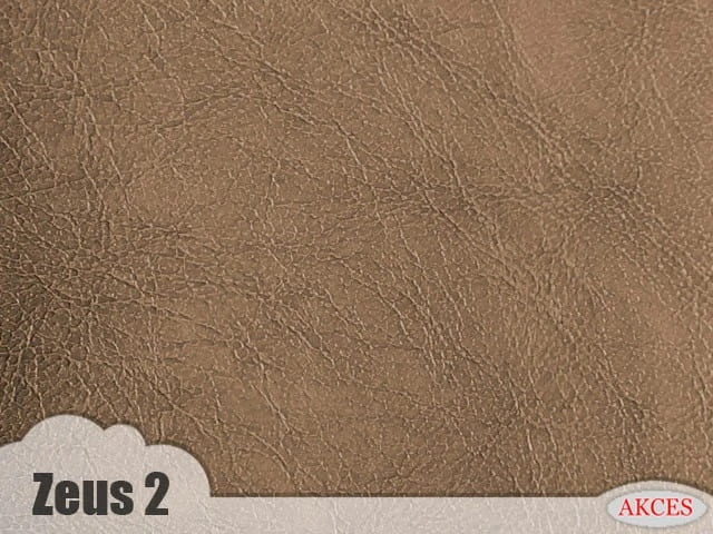 Zeus 2.jpg