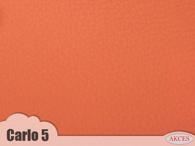 Carlo 5.jpg